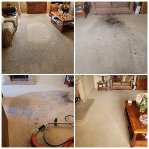 Frodsham Carpet cleaners scaled e1714112805302
