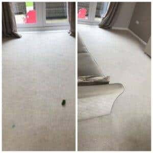 Carpet Cleaning Appleton