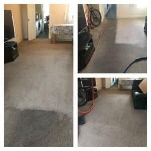 Carpet Cleaners Warrington Cheshire
