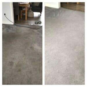 Carpet cleaners great sankey