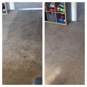 carpet cleaners warrington