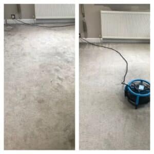 Carpet cleaning Appleton