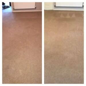 warrington carpet cleaning service