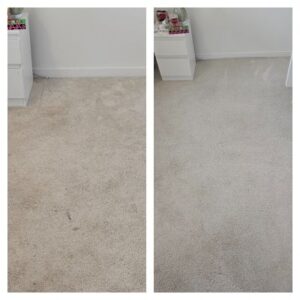 Carpet Cleaning service In Leigh