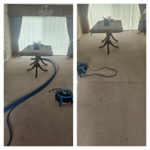 Carpet cleaners rainhill