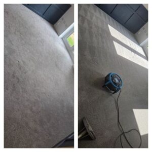 Runcorn carpet cleaners service