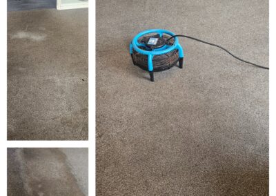 Carpet Cleaners Cadishead scaled