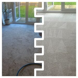 stretton carpet cleaners