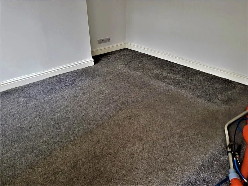 Warrington carpet cleaning